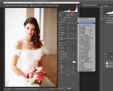 Wie du eigene Korrekturpinsel in Lightroom anlegst.