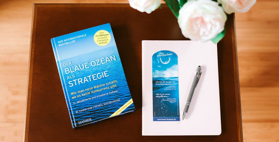 Buch der blaue Ozean als Strategie