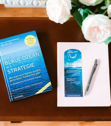 Buch der blaue Ozean als Strategie